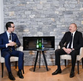 Президент Ильхам Алиев встретился в Давосе с главным исполнительным директором компании Carlsberg Group