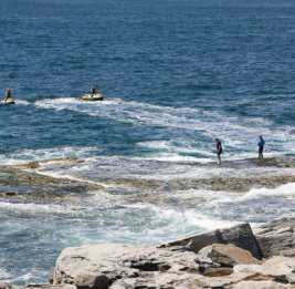 9News: 20 пляжей в Сиднее закрыты после нападения акул на отдыхающих