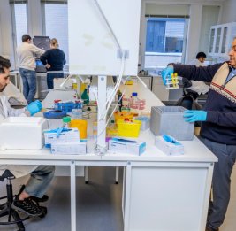 Норвежские исследователи создали технологию быстрой диагностики инфекций