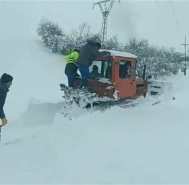 В южных районах восстанавливают электроснабжение после сильного снегопада