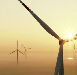 Трамп: ветряные электростанции стали причиной энергетического коллапса в Европе