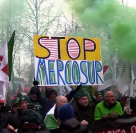 Протестующий во Франции: избыточная бюрократия ЕС душит сельское хозяйство