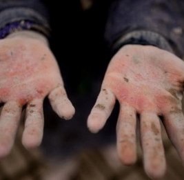 В Азербайджане ужесточат ответственность за детский труд