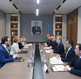 Азербайджан может сотрудничать с НАТО по ряду сфер