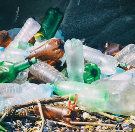 Дело о пластике