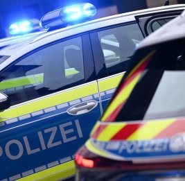 Вредители обезврежены