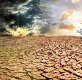 Стихии наперекор 