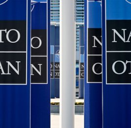 Дания попросила НАТО уделить Арктике приоритетное внимание