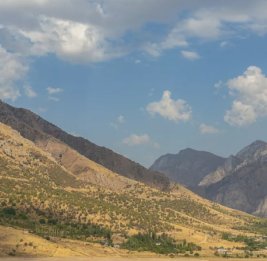 В Узбекистане начнут выплачивать компенсации за изъятые участки под Sea Breeze