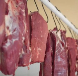 ИПБА опроверг сообщения о поставках мяса из Сомали в Азербайджан для продажи