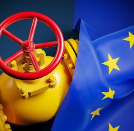 Совет ЕС полностью запретит поставки российского газа в Евросоюз с 2027 года