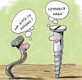 Запретный плод контроля 