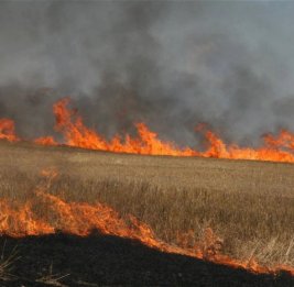 Президент Азербайджана утвердил новые штрафы за поджог пахотных земель