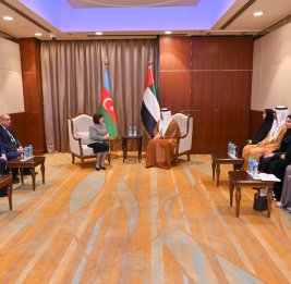 Парламенты Азербайджана и ОАЭ обсудили вопросы сотрудничества