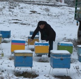 Лачинский пчеловод: чем больше выпадает снега, тем обильнее будет наш мед