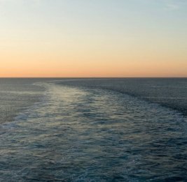 Кораблекрушения в Средиземноморье: сотни мигрантов числятся пропавшими без вести или погибли