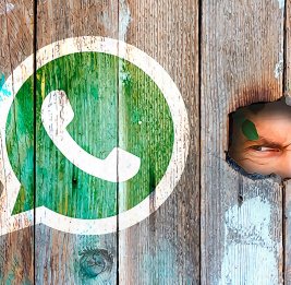 Доверяй, но проверяй