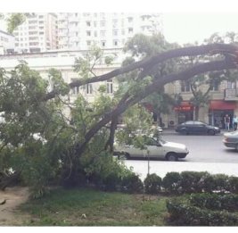 Мина замедленного действия 