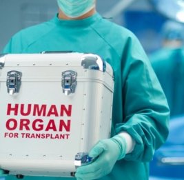 В Азербайджане в 2025 году органы 10 посмертных доноров были использованы для трансплантации