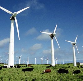 Великобритания планирует мобилизовать 100 млрд фунтов стерлингов инвестиций в ВИЭ и сокращение выбросов к 2030 году