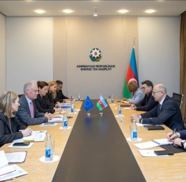 Парвиз Шахбазов встретился с гендиректором Еврокомиссии по вопросам расширения и Восточного соседства