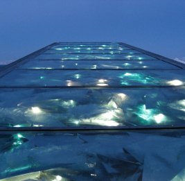 Хранилище Апокалипсиса