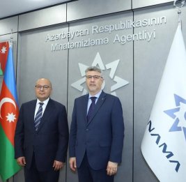 Азербайджан и Венгрия обсудили исполнение документа по разминированию