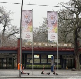 Из Германии в Азербайджан отправлены 18 зубров