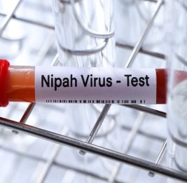 Нипах атакует планету