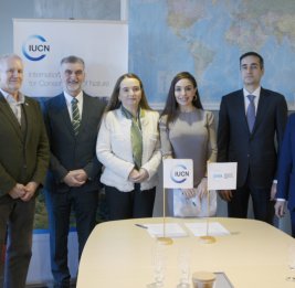 Лейла Алиева и Гретель Агилар обсудили в Швейцарии возможности сотрудничества