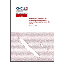 Новая Каледония: действия сил безопасности во время беспорядков и в целом судебной системы осуждены в докладе CNCDH
