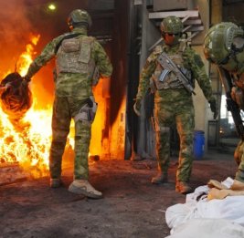 В Азербайджане уничтожено свыше 858 кг наркотиков в рамках 25 уголовных дел