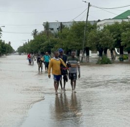 Январь стал месяцем экстремальных погодных явлений &ndash; от рекордных снегопадов до волн жары