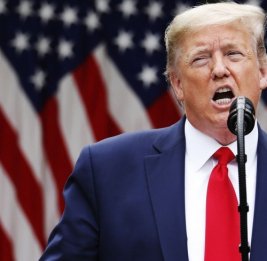 Дональд Трамп высказался о планах по строительству арены перед Белым домом для турнира UFC