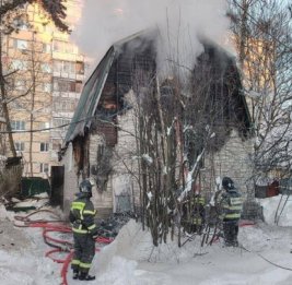 В Подмосковье кот спас многодетную семью во время пожара