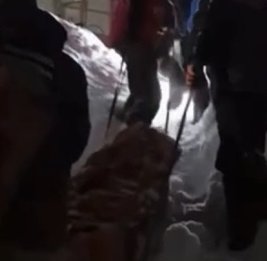 На Камчатке спасатели с помощью нарт эвакуировали больного из квартиры