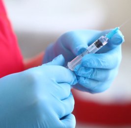 В Бельгии начнутся испытания первой в мире вакцины от вируса Нипах