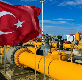 В Турции в январе зафиксировано рекордное потребление газа