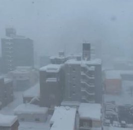 В Японии из-за рекордных снегопадов погибли как минимум 18 человек