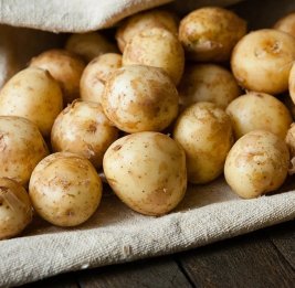 &laquo;Второй хлеб&raquo; покоряет Берлин