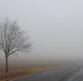 Во вторник местами ожидается туман и порывистый ветер