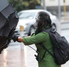 Объявлены желтое и оранжевое предупреждения в связи с ветреной погодой