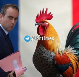 Кукарекать в стиле Лекорню