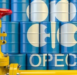 Придется подождать