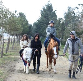 Более 1300 лиц с инвалидностью привлечены к иппотерапии