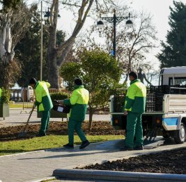 Баку расцветет в марте: на бульваре высадят 80 000 тюльпанов