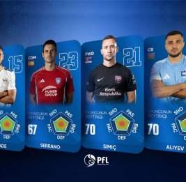 Пилотный проект 