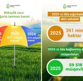 Востребованное страхование