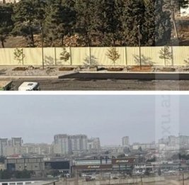 Зеленый террор