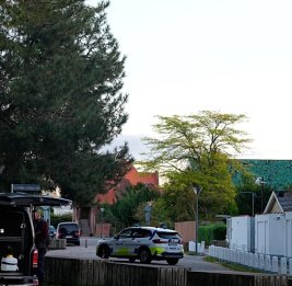 Криминальный дуэт